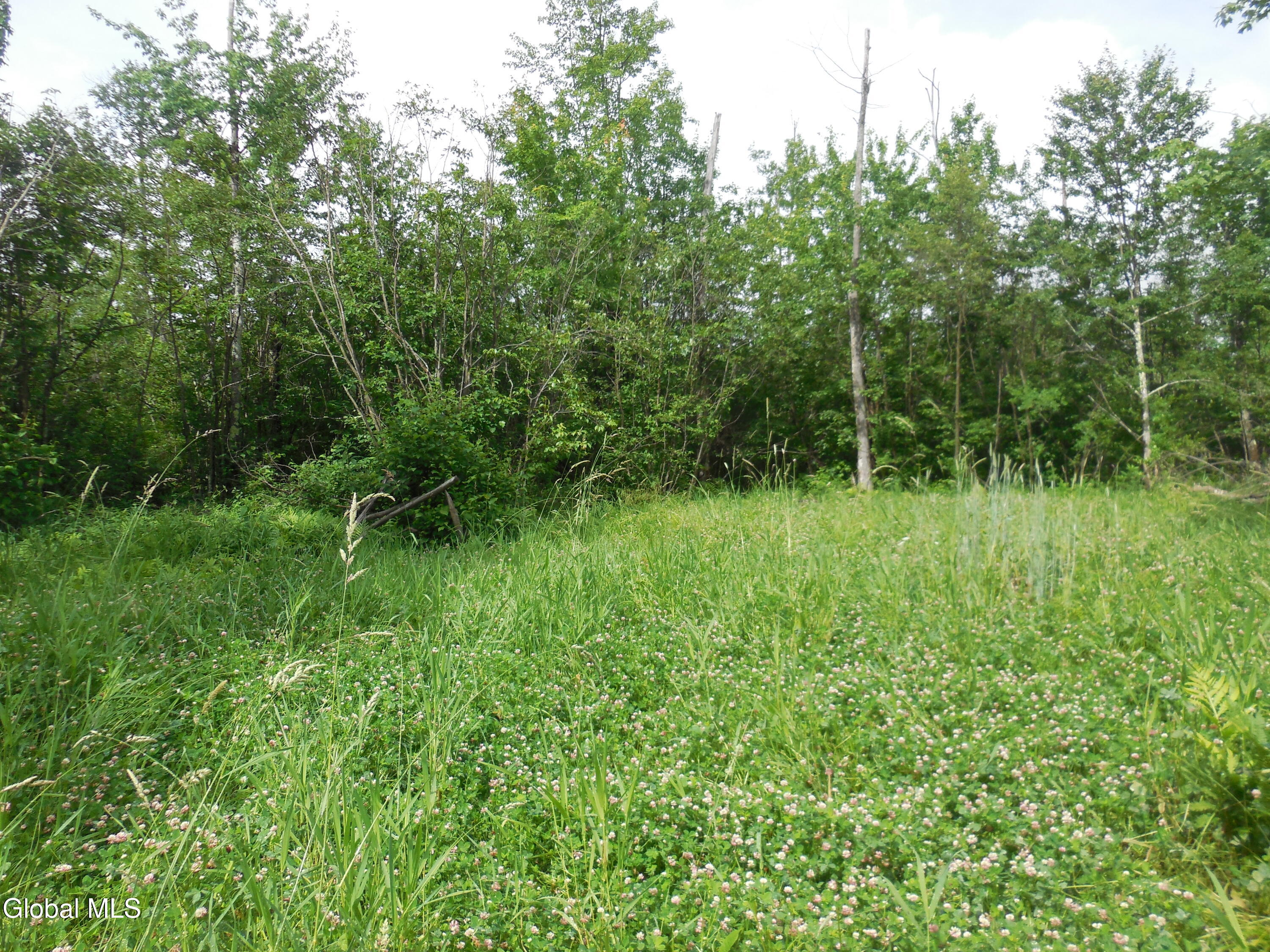 L17.5 N Knight North Road Delanson NY 12053