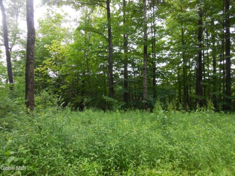 L17.5 N Knight North Road Delanson NY 12053