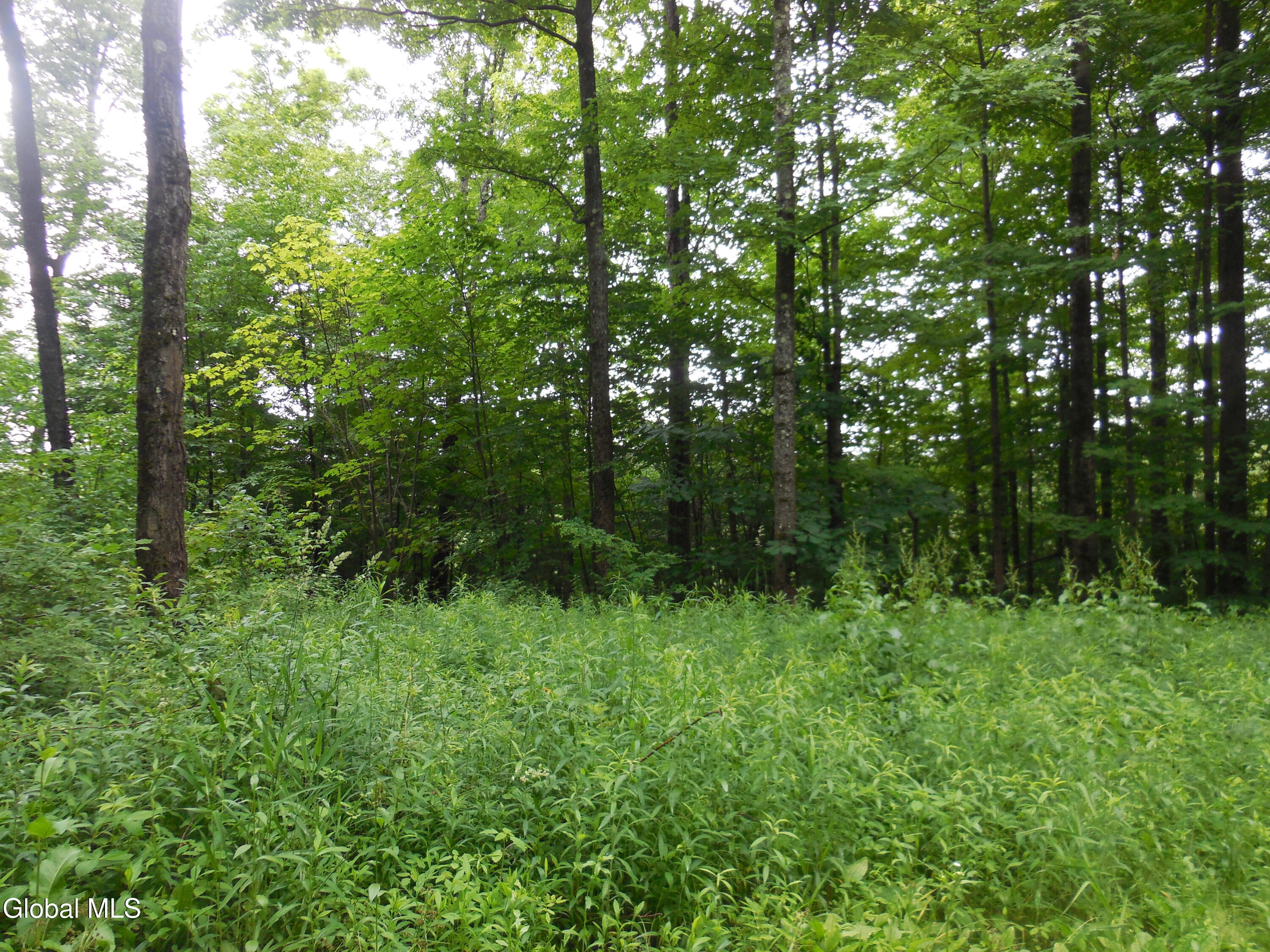 L17.5 N Knight North Road Delanson NY 12053