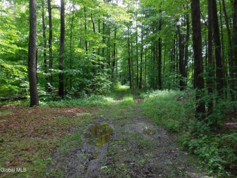 L17.5 N Knight North Road Delanson NY 12053
