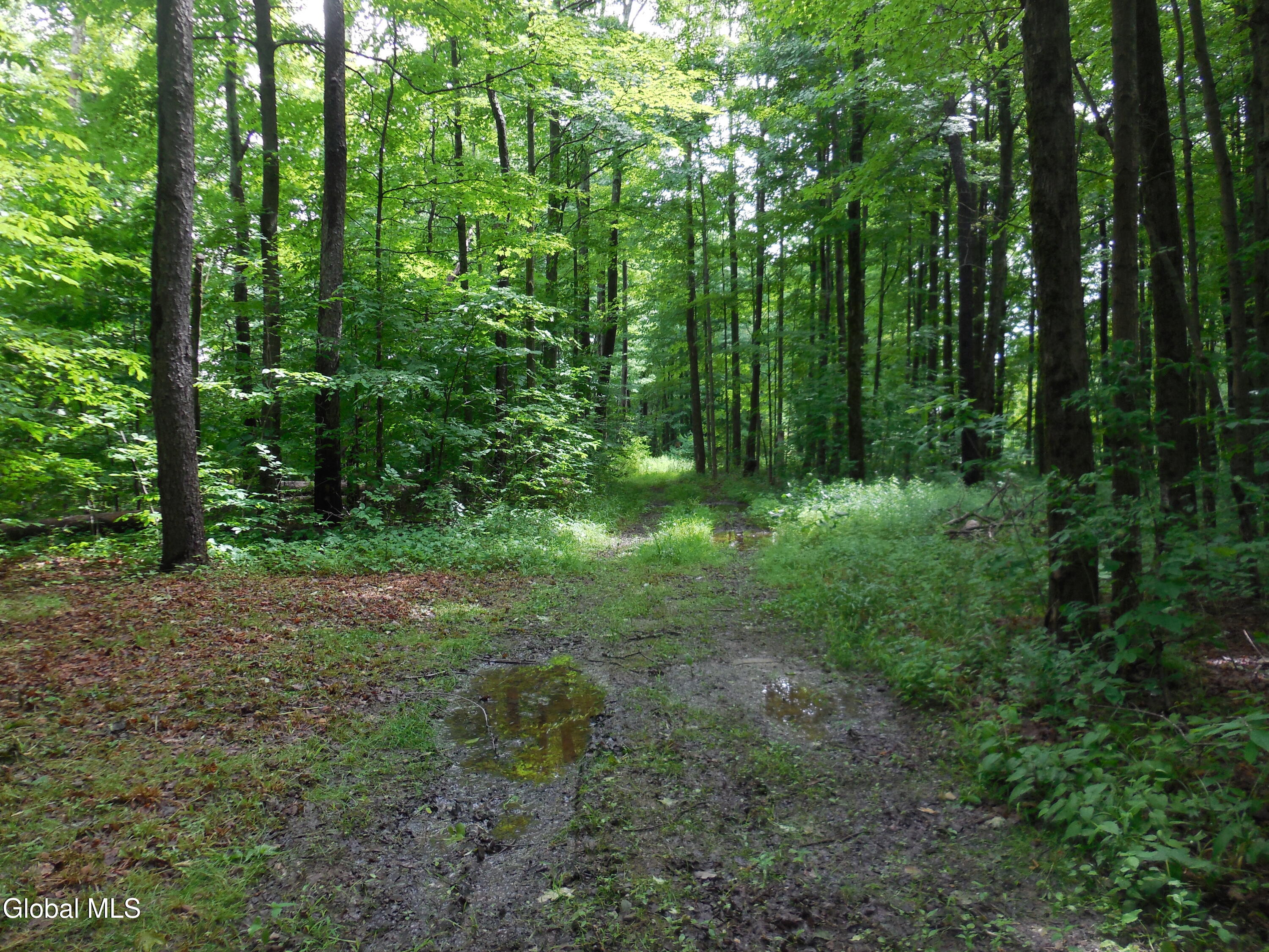 L17.5 N Knight North Road Delanson NY 12053