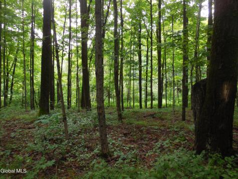 L17.5 N Knight North Road Delanson NY 12053