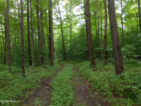 L17.5 N Knight North Road Delanson NY 12053
