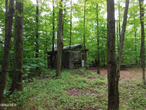 L17.5 N Knight North Road Delanson NY 12053