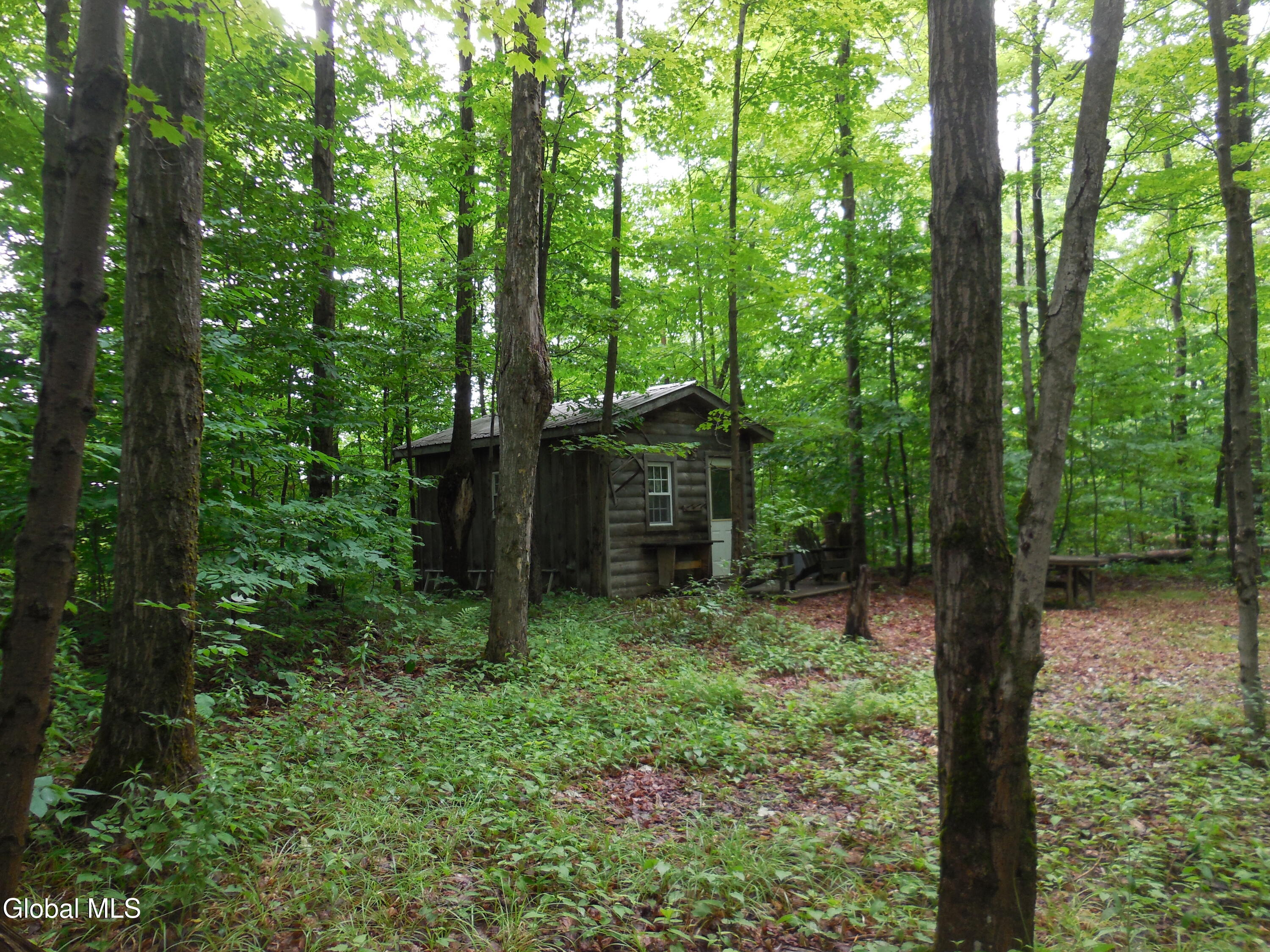 L17.5 N Knight North Road Delanson NY 12053