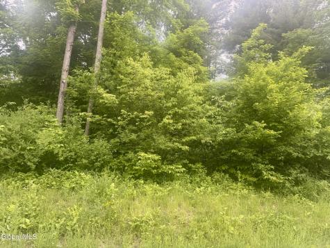 L2 Reynolds Road Duanesburg NY 12137