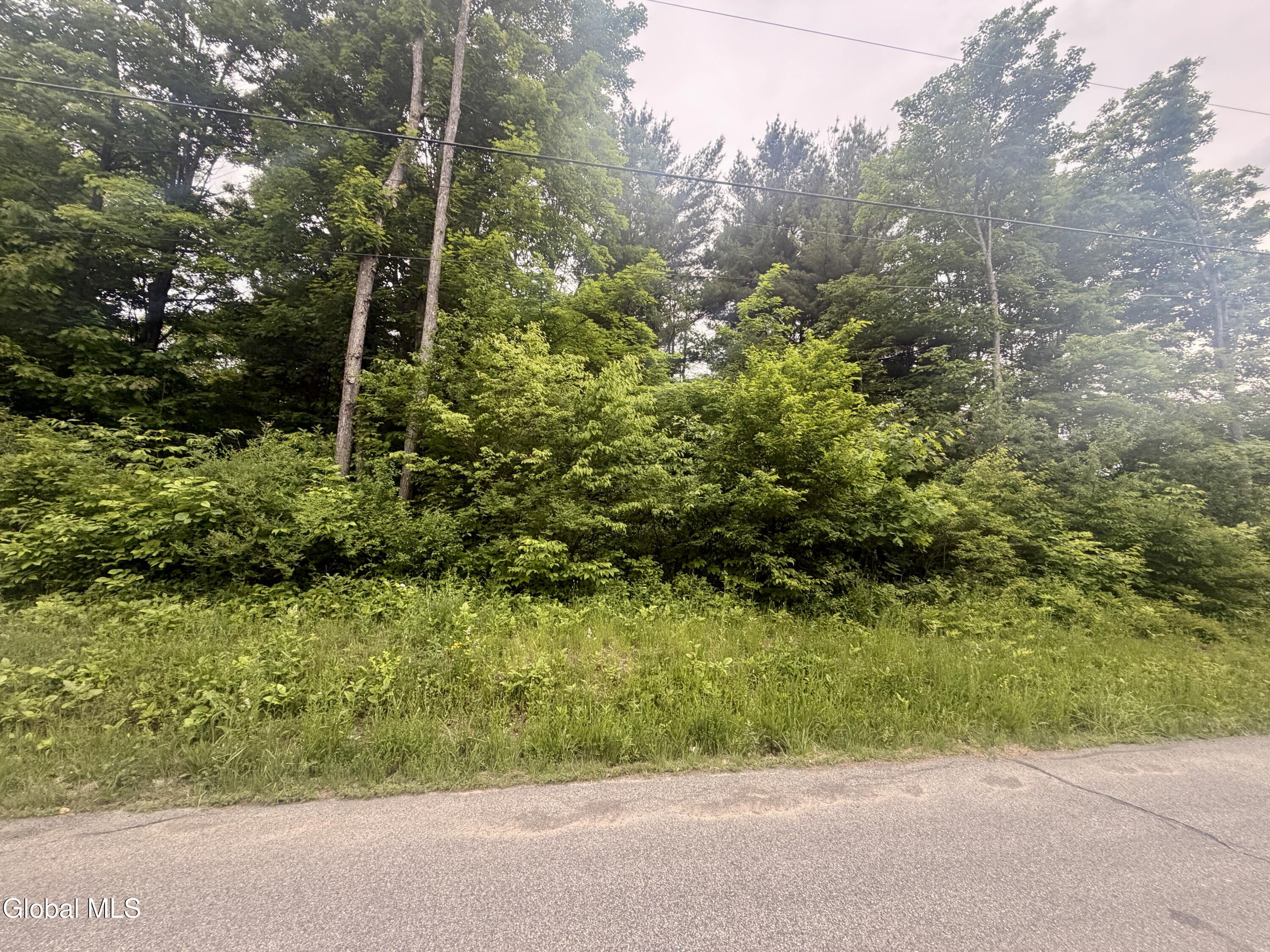 L2 Reynolds Road Duanesburg NY 12137