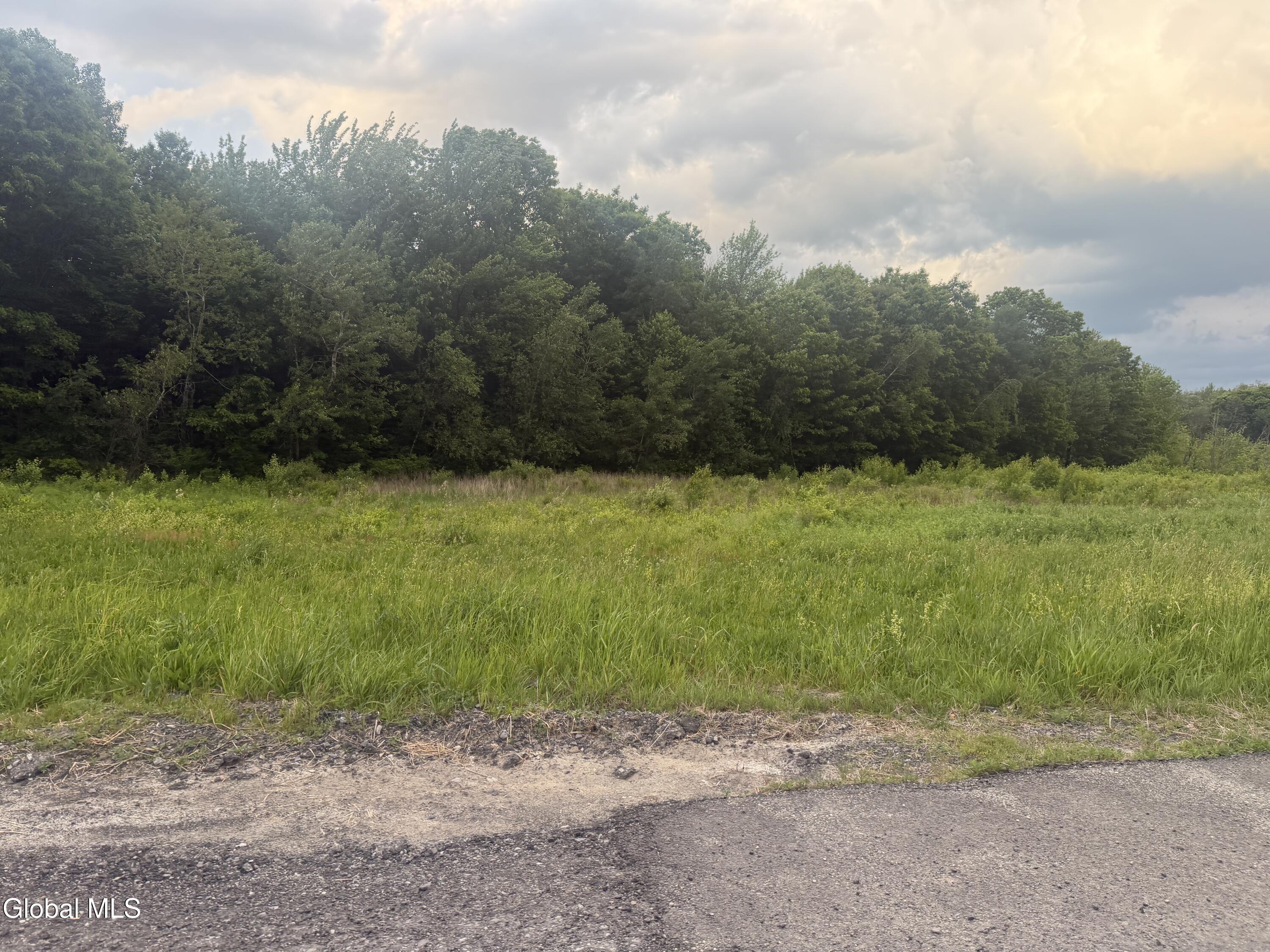 L2 Reynolds Road Duanesburg NY 12137