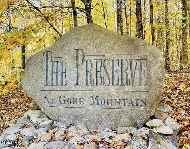 12 The Woods North Creek NY 12853