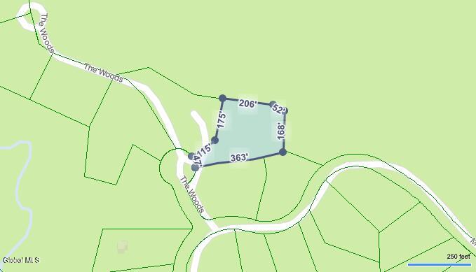 12 The Woods North Creek NY 12853