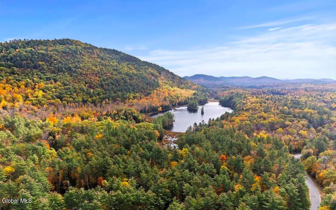 12 The Woods North Creek NY 12853