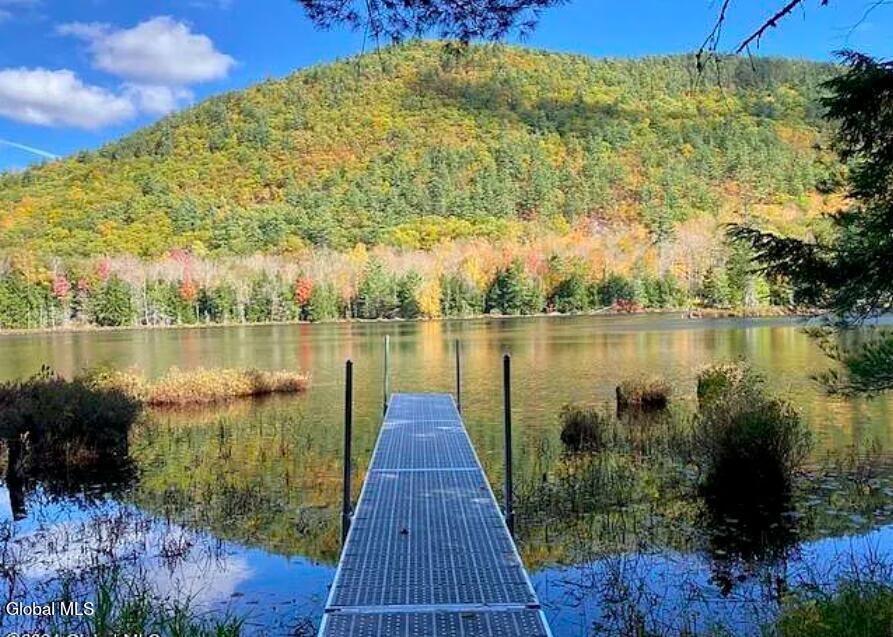 12 The Woods North Creek NY 12853
