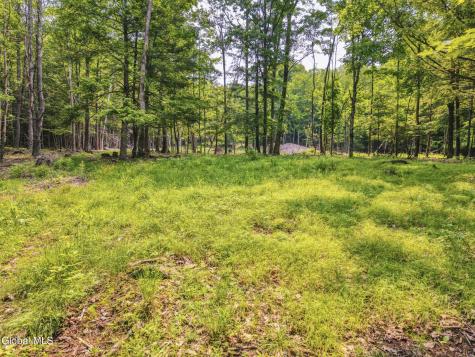 Tbd Boulder Brook Road Windham NY 12496