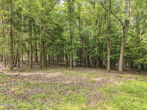 Tbd Boulder Brook Road Windham NY 12496