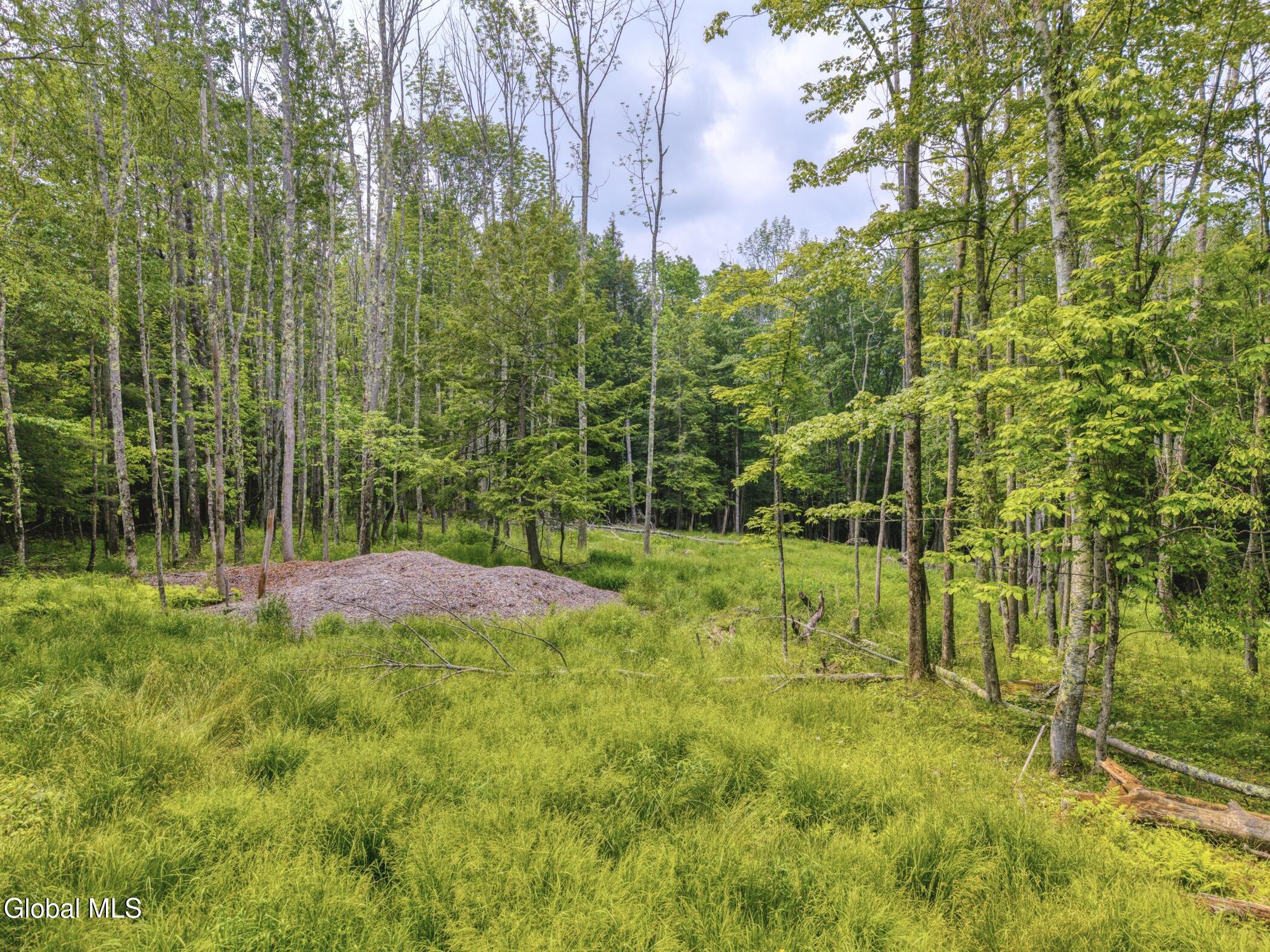 Tbd Boulder Brook Road Windham NY 12496