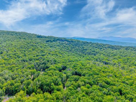 Tbd Boulder Brook Road Windham NY 12496