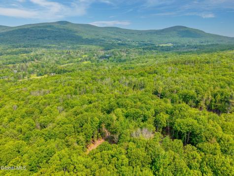 Tbd Boulder Brook Road Windham NY 12496