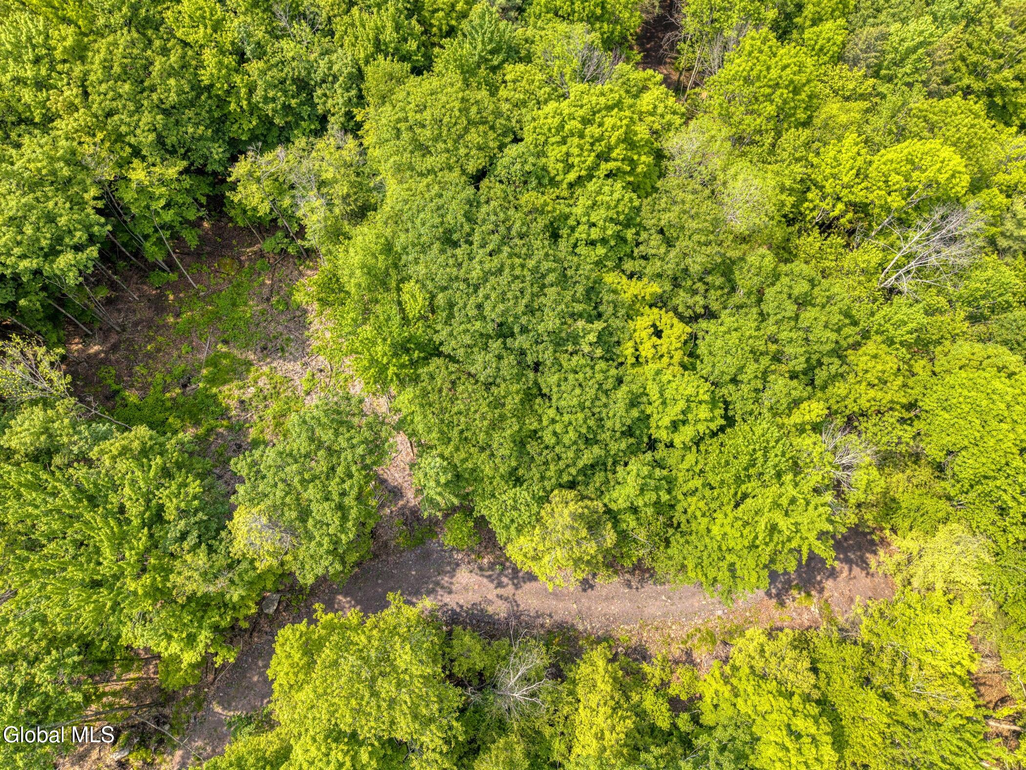 Tbd Boulder Brook Road Windham NY 12496