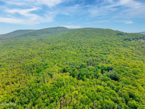 Tbd Boulder Brook Road Windham NY 12496