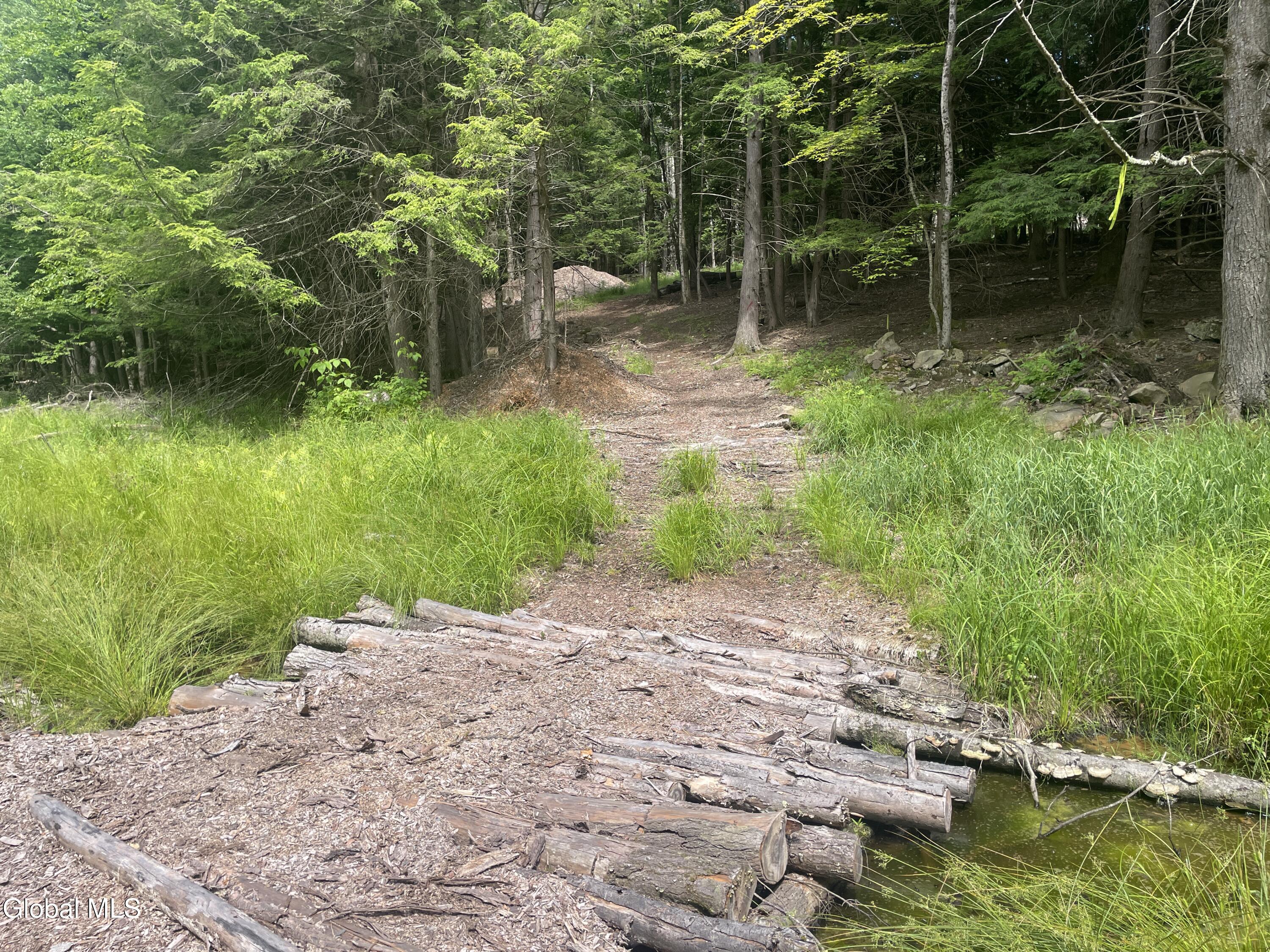 Tbd Boulder Brook Road Windham NY 12496