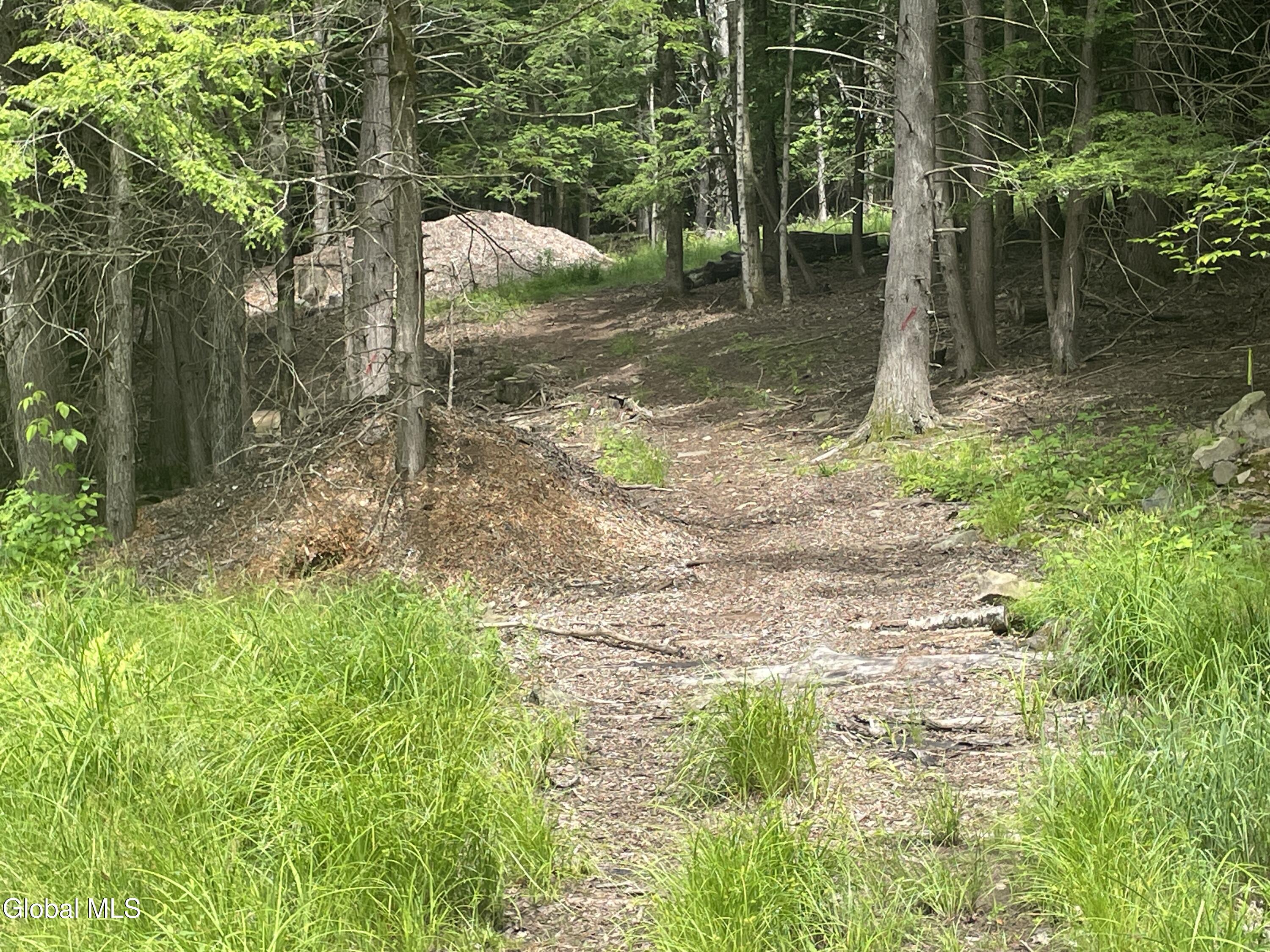 Tbd Boulder Brook Road Windham NY 12496