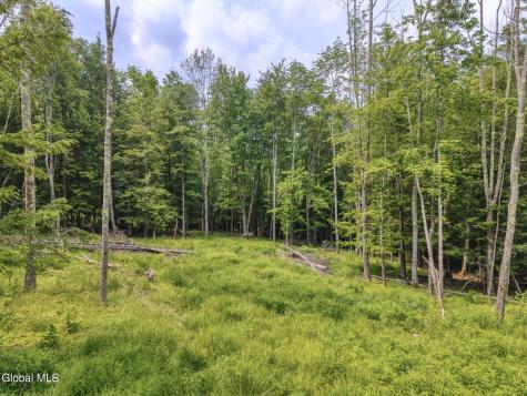 Tbd Boulder Brook Road Windham NY 12496