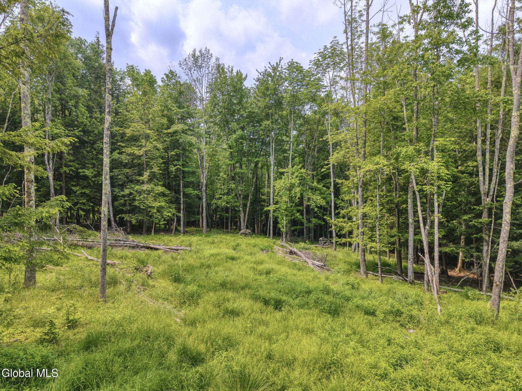 Tbd Boulder Brook Road Windham NY 12496
