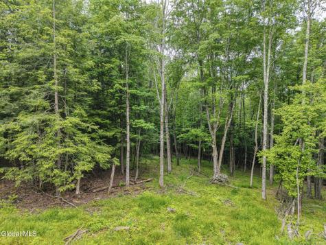 Tbd Boulder Brook Road Windham NY 12496