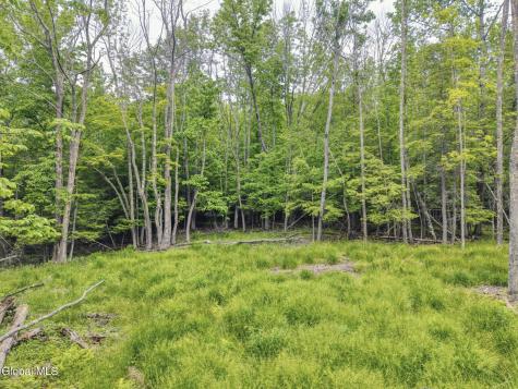 Tbd Boulder Brook Road Windham NY 12496
