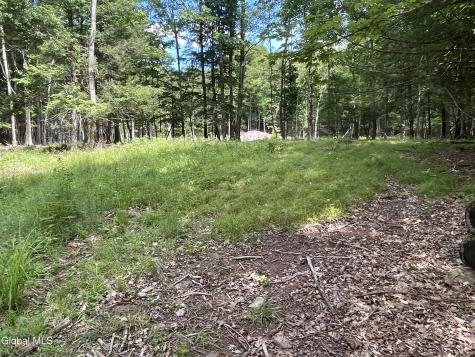 Tbd Boulder Brook Road Windham NY 12496