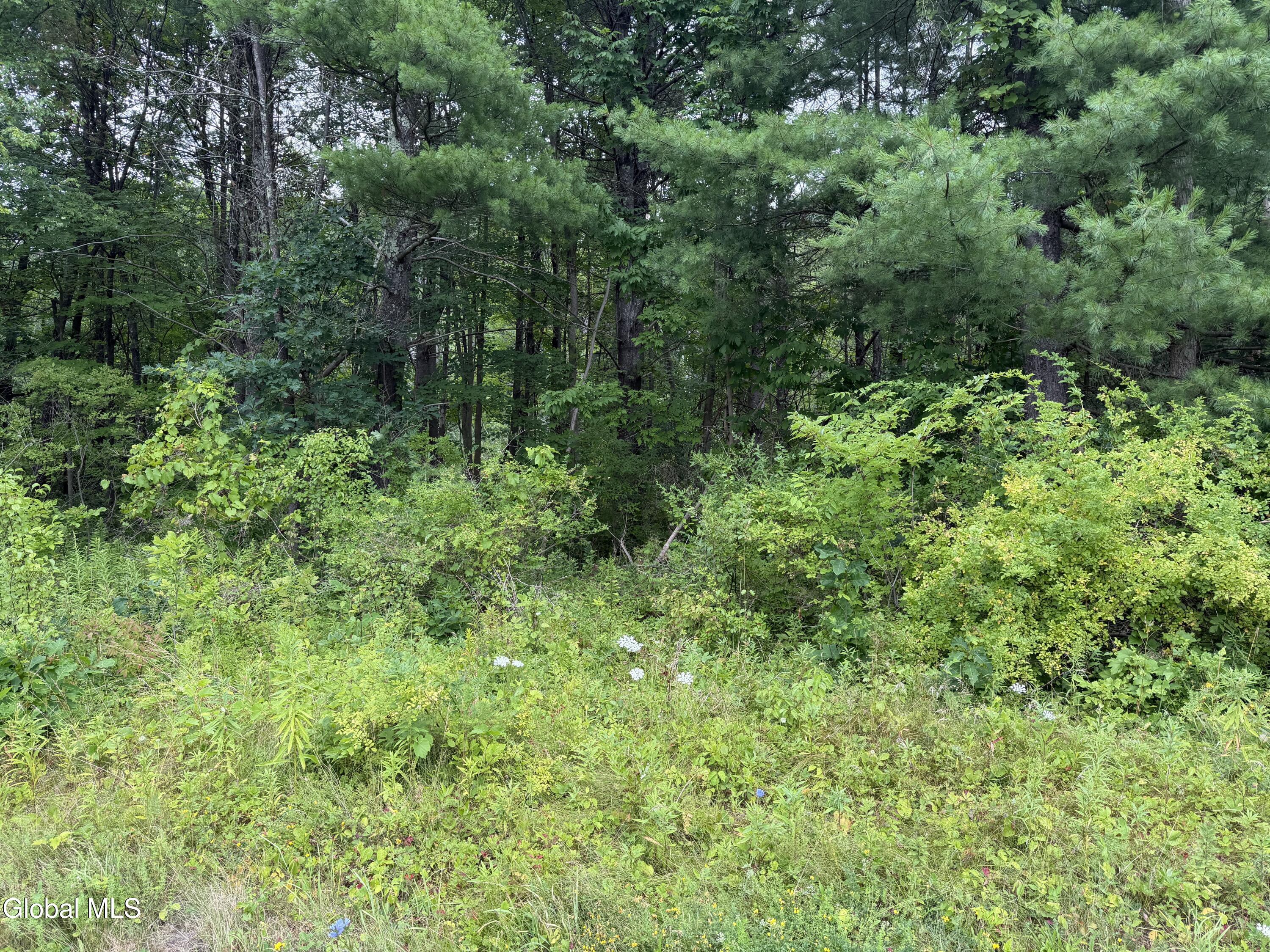 L-15 New York 32 Greenville NY 12083