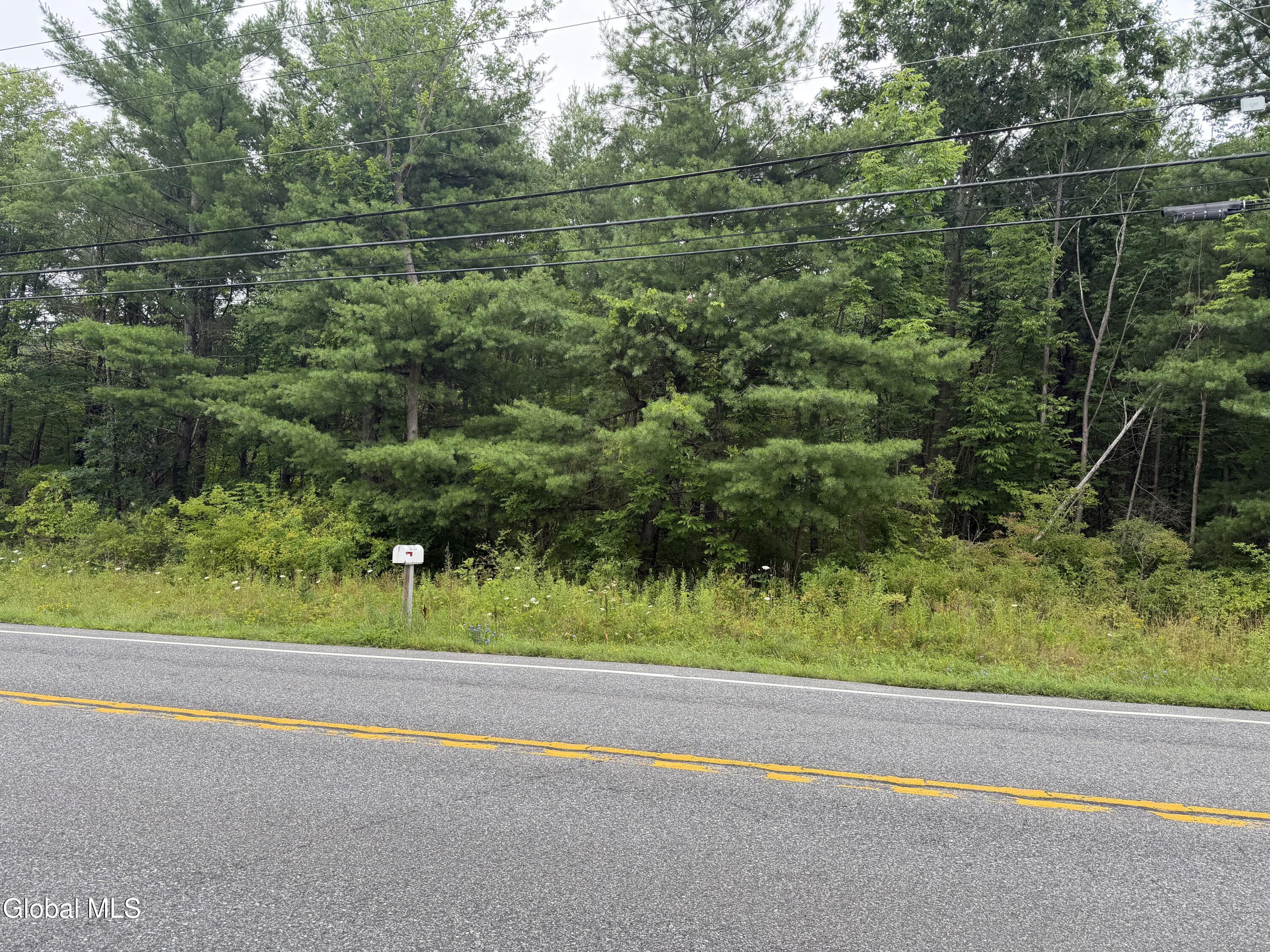 L-15 New York 32 Greenville NY 12083
