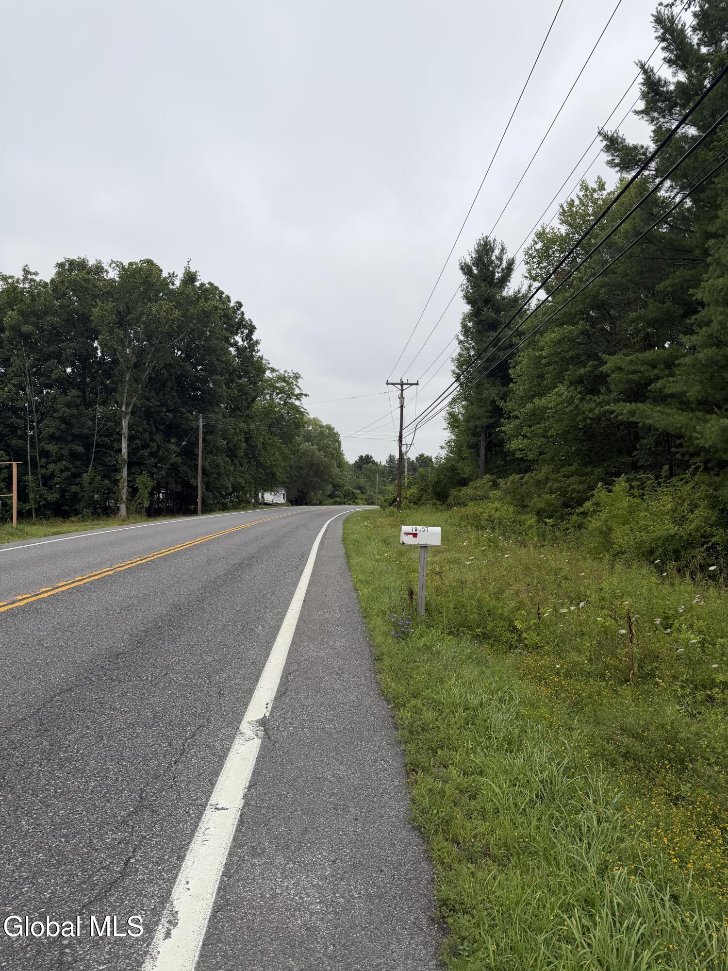 L-15 New York 32 Greenville NY 12083