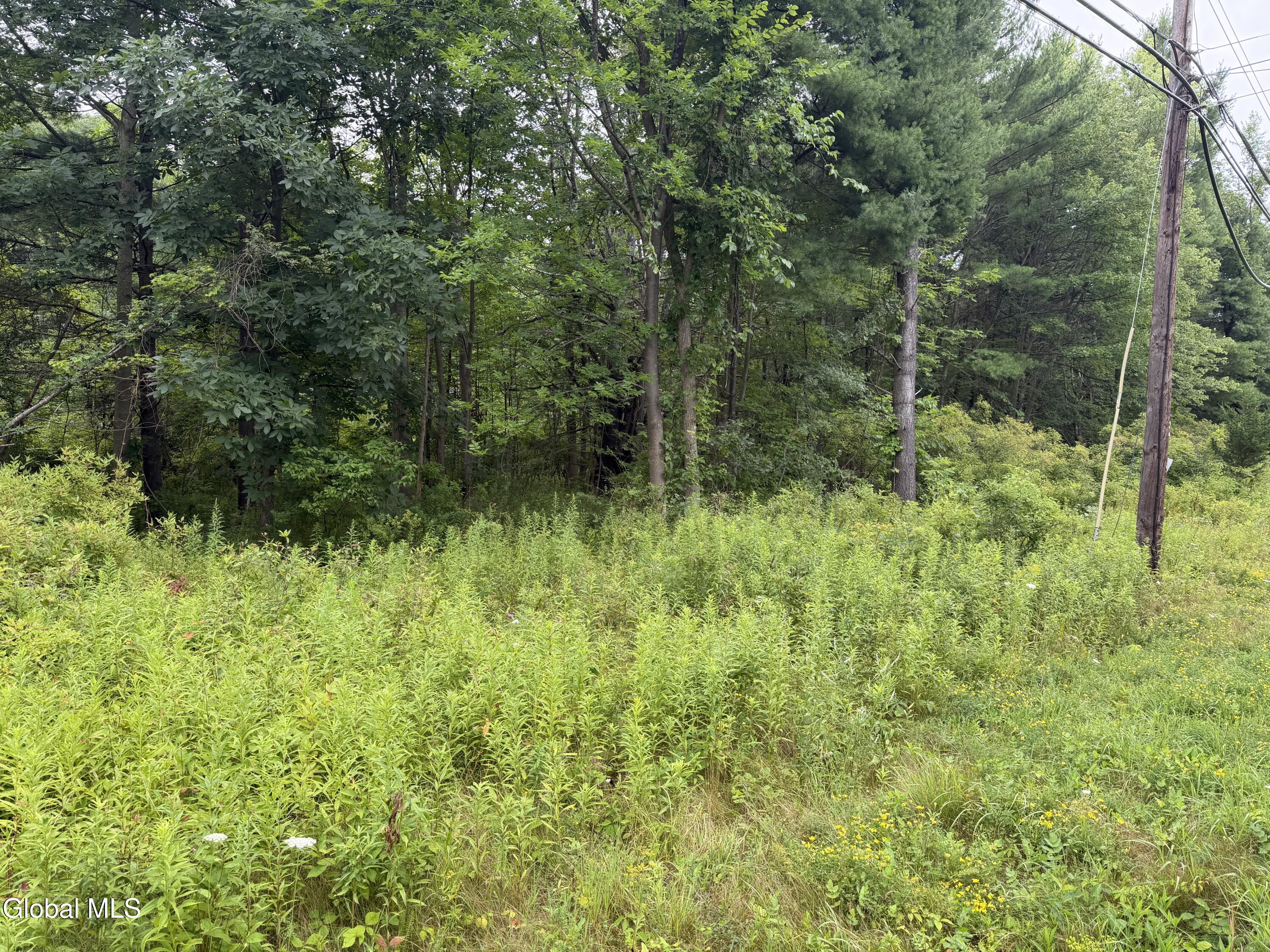 L-15 New York 32 Greenville NY 12083