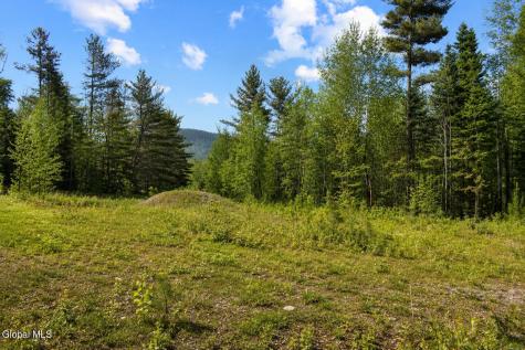 L88 Highview Lane Wevertown NY 12886