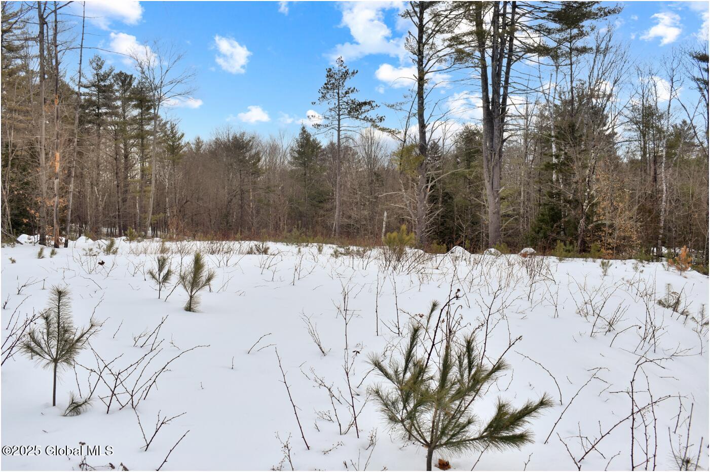 L88 Highview Lane Wevertown NY 12886