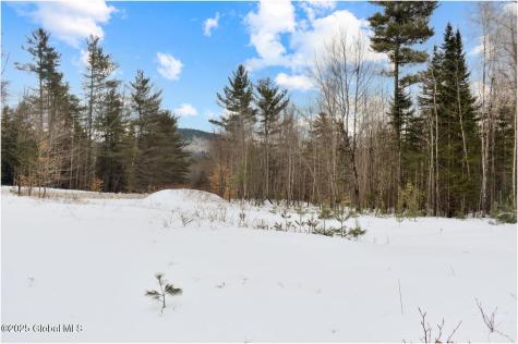 L88 Highview Lane Wevertown NY 12886