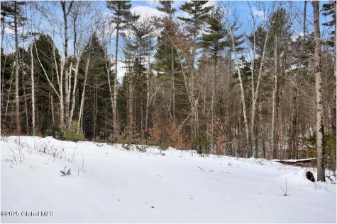 L88 Highview Lane Wevertown NY 12886