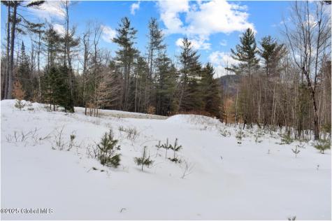 L88 Highview Lane Wevertown NY 12886