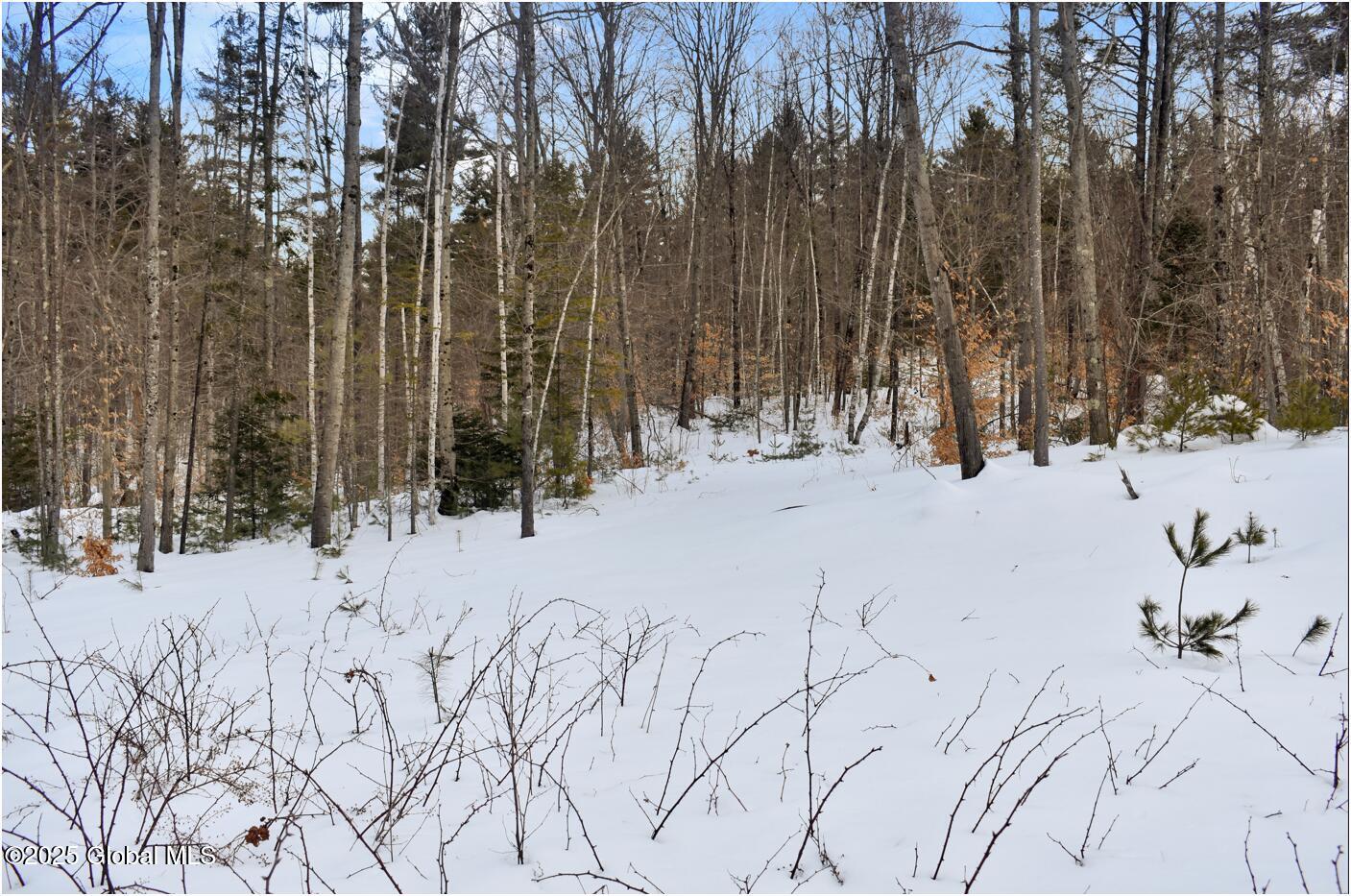 L88 Highview Lane Wevertown NY 12886
