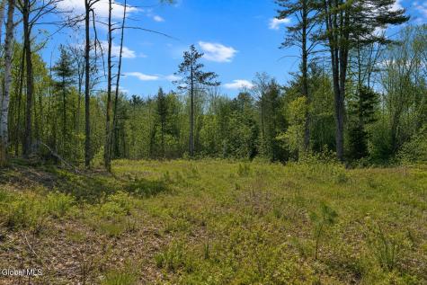 L88 Highview Lane Wevertown NY 12886