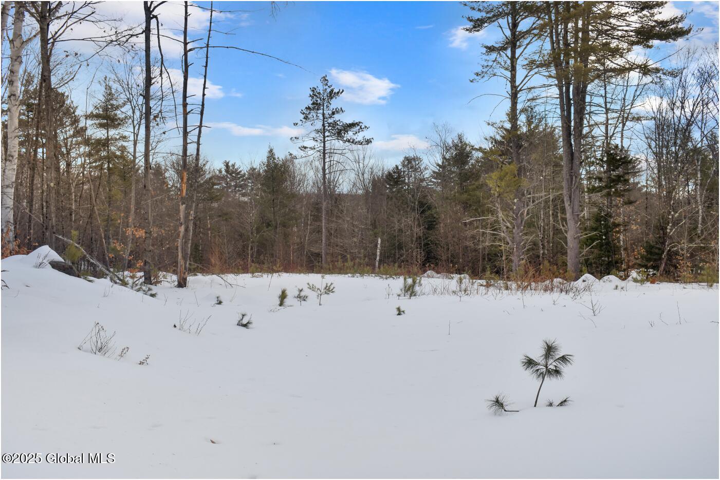 L88 Highview Lane Wevertown NY 12886