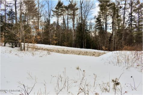L88 Highview Lane Wevertown NY 12886
