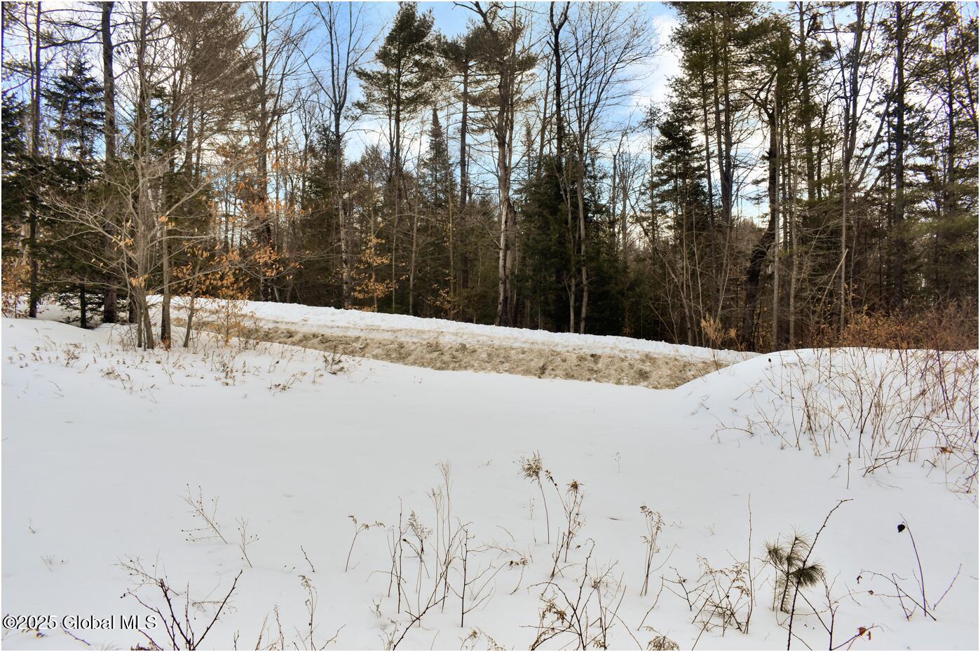 L88 Highview Lane Wevertown NY 12886