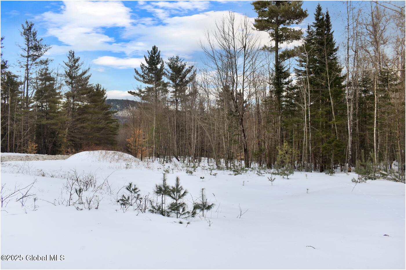 L88 Highview Lane Wevertown NY 12886