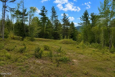 L88 Highview Lane Wevertown NY 12886
