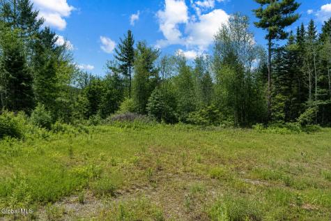 L88 Highview Lane Wevertown NY 12886