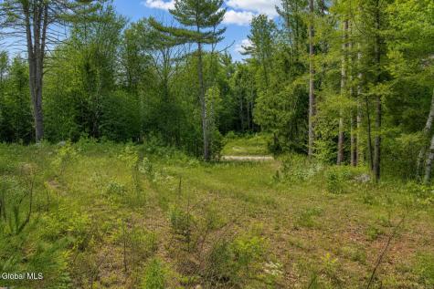 L88 Highview Lane Wevertown NY 12886
