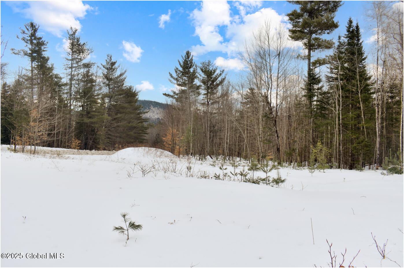 L88 Highview Lane Wevertown NY 12886