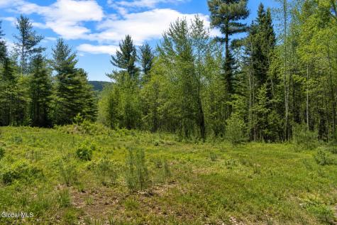L88 Highview Lane Wevertown NY 12886